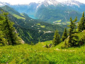 Hüttenurlaub in Bayern