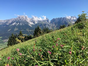 Hüttenurlaub in Kitzbühel