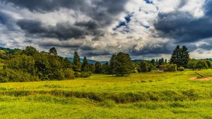 Hüttenurlaub Bayerischer Wald