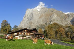 Hüttenurlaub im Berner Oberland