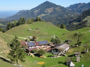 Wanderung auf das Kranzhorn (1368 m) von Windshausen