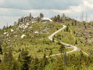 Dreisesselberg (1333 m) - Bayerischer Wald