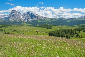 Hüttenurlaub Seiser Alm